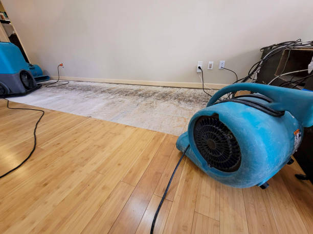 Professional Water Damage Repair technician working in Hatboro, PA